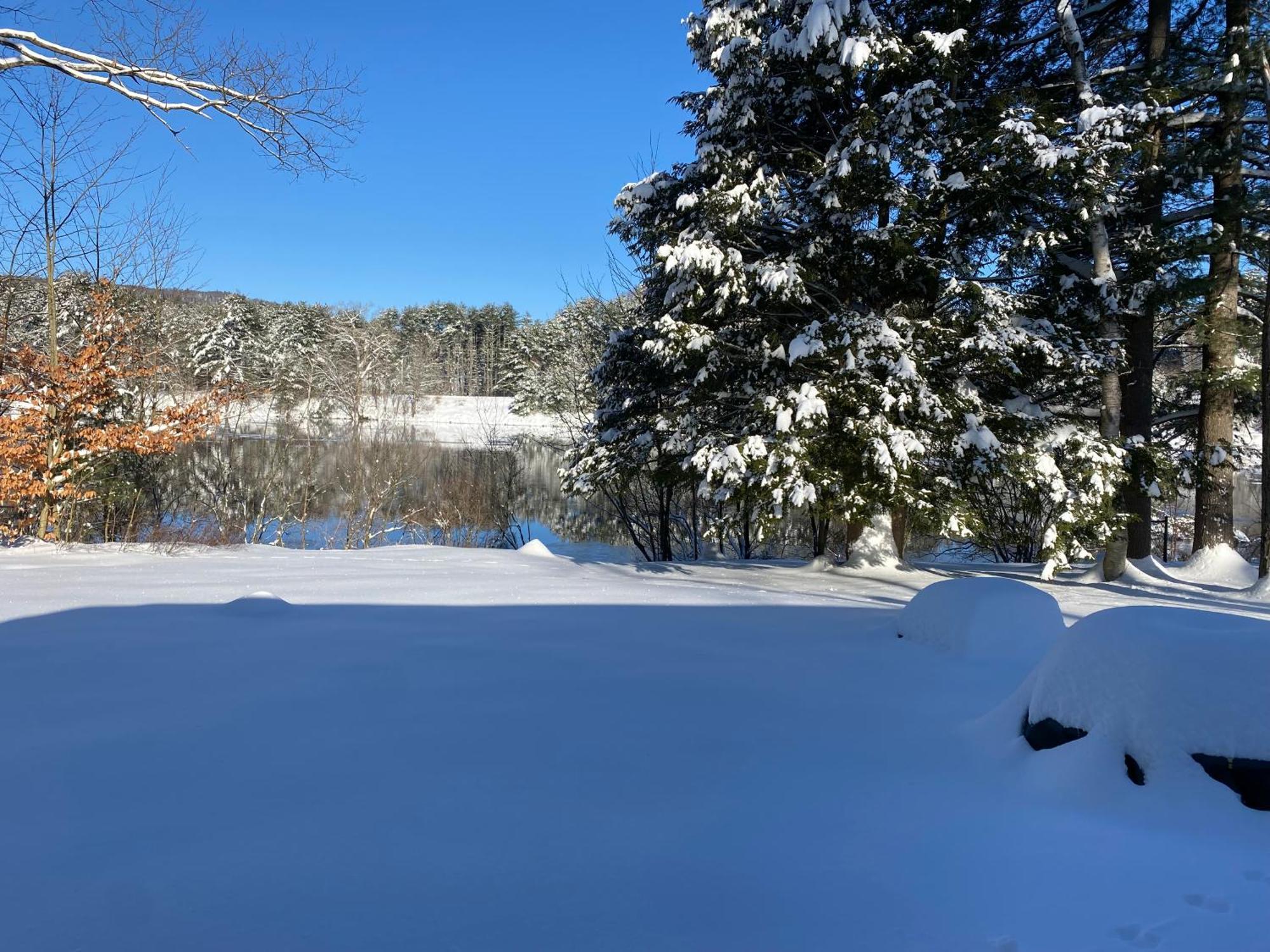 Lake Luzerne Adirondack Waterfront Cabin Upper Hudson Tributary 빌라 외부 사진